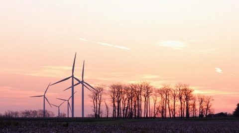 Portugalczycy zbudują w Polsce farmy wiatrowe i fotowoltaiczne