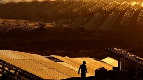 Danone kupi energię z największej elektrowni fotowoltaicznej w Europie