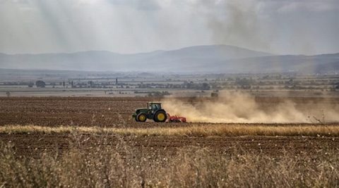 Dzierżawa gruntu pod fotowoltaikę. Stawka 15 tys. zł