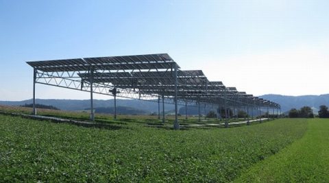 Agrofotowoltaika osiągnęła konkurencyjność kosztową