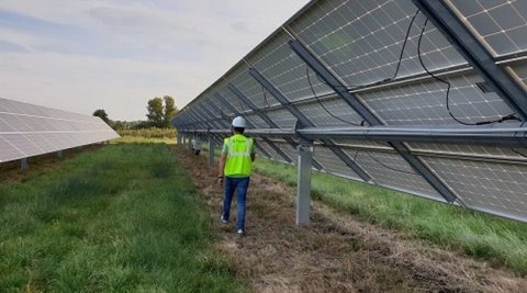 Moc farm PV w systemie aukcyjnym przekroczyła 600 MW