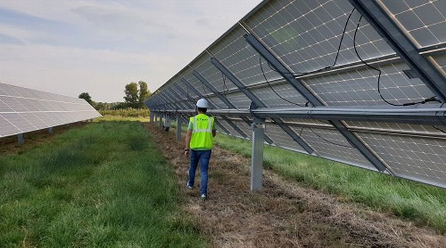 Moc farm PV w systemie aukcyjnym przekroczyła 600 MW