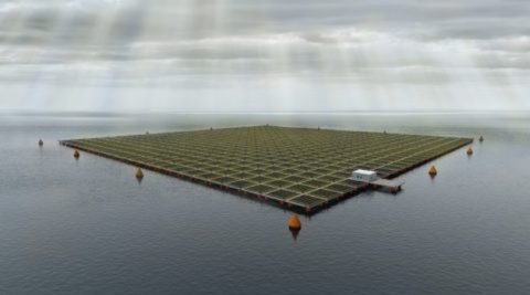 Włosi szykują morską elektrownię PV o mocy 100 MW