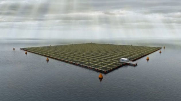 Włosi szykują morską elektrownię PV o mocy 100 MW