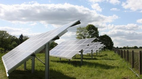 W 2020 roku w Polsce zainstalowano 7,7 mln modułów PV