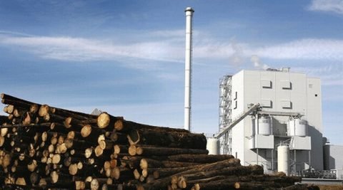 Elektrownie spalają coraz więcej drewna z lasów