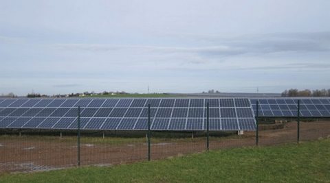 Poddostawca Ikei zbuduje farmę fotowoltaiczną w Pniewach