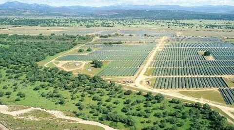 Paliwowy potentat uruchamia farmę PV za 200 mln euro