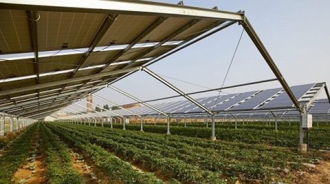 Na Bałkanach powstanie największa elektrownia PV w Europie. Będzie agro