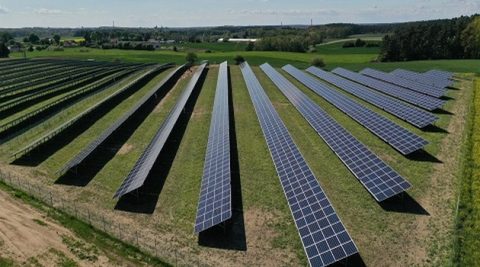 Polska firma zbuduje farmy fotowoltaiczne w Rumunii