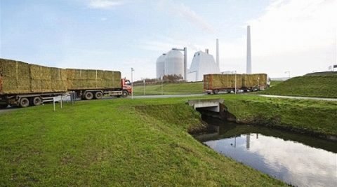 IJ: Biomasa niedocenianym rozwiązaniem dla polskiej energetyki