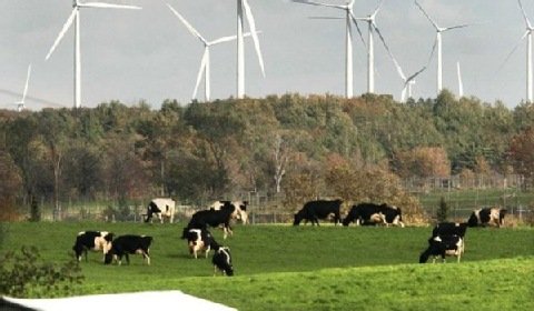 NIK stawia zarzuty ws. budowy farmy wiatrowej w gminie Fajsławice