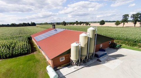 Nabór wniosków – dofinansowanie dla rolników z programu Agroenergia