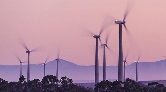 Firmy kupują coraz więcej zielonej energii. Padł kolejny rekord