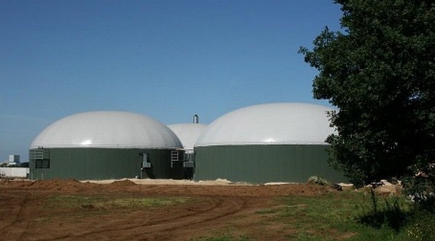 Jak zarabiać na oborniku i gnojowicy – postaw na biogaz!