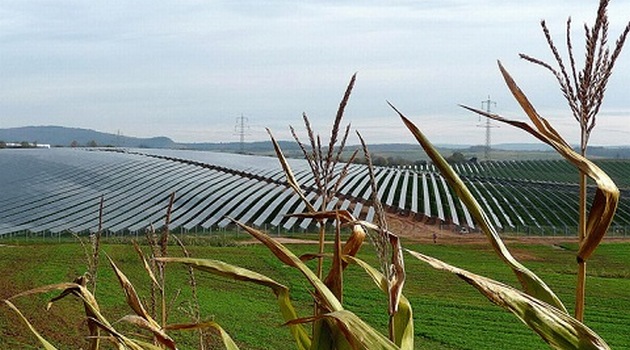 Wzrost ceny energii z fotowoltaiki w niemieckich aukcjach