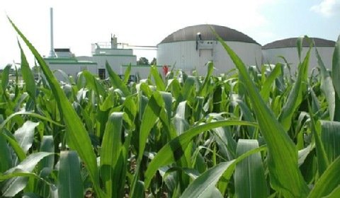 Biogaz: praktyczne aspekty inwestycji w zieloną energię