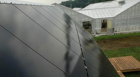 Zmiana w dotacjach na mikroinstalacje z Agroenergii