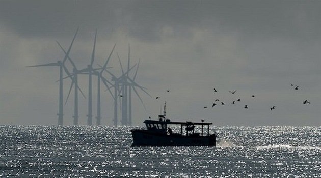 Szwedzi nie chcą morskich wiatraków