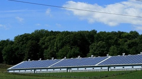 Umowy PPA, czyli jak kupować energię z OZE – szkolenie