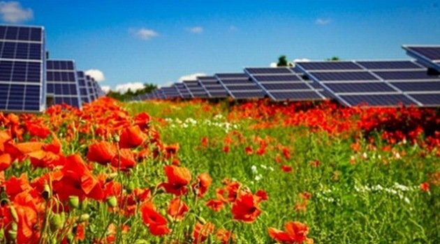 IBC Solar umożliwi zakup udziałów w farmach fotowoltaicznych