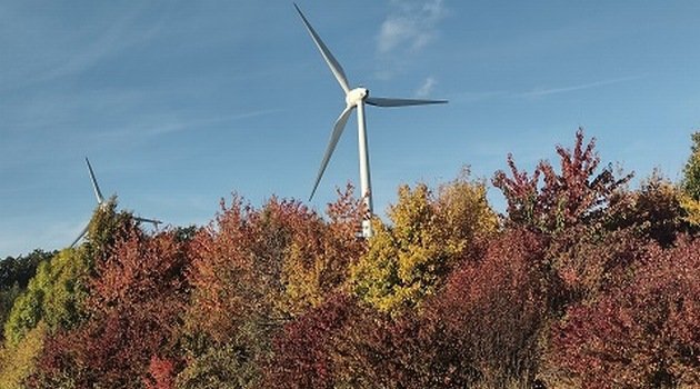 Duży spadek zamówień na elektrownie wiatrowe