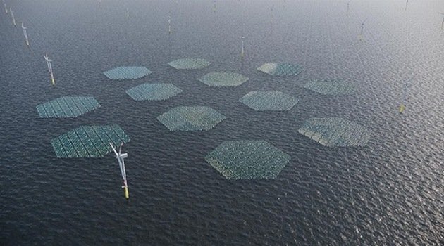 To będzie największa pływająca na morzu elektrownia słoneczna