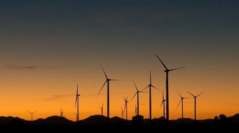 Połowa energii w Polsce ma pochodzić z OZE. Sieć to wytrzyma
