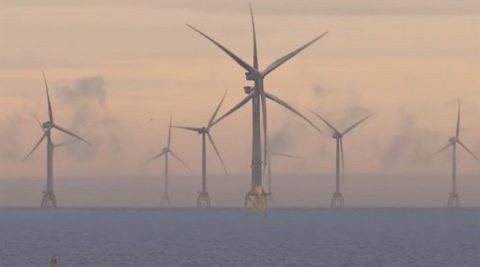 Giganci technologiczni kupują zieloną energię z europejskich instalacji OZE