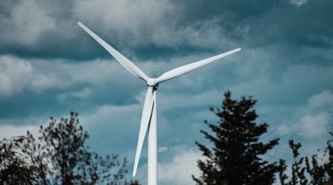 Dodatkowi wytwórcy energii z OZE zostaną objęci maksymalną ceną
