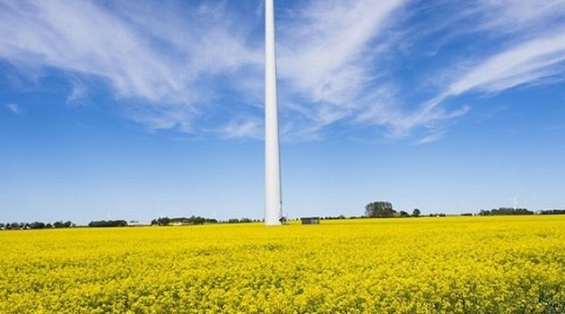 ZE PAK zbuduje farmę wiatrową za 17 mln euro