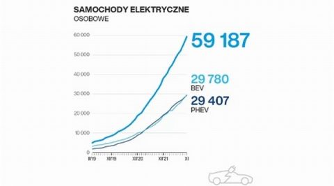 W tym roku przybyło w Polsce blisko 40 proc. elektryków