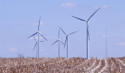 EDP oficjalnie uruchomił kolejną farmę wiatrową w Polsce