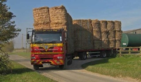MR: import biomasy to droga w złym kierunku