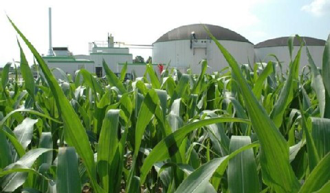 W Świdnicy rusza biogazownia rolnicza