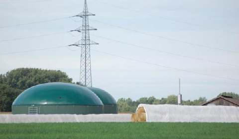 PKP Energetyka zbuduje biogazownie?
