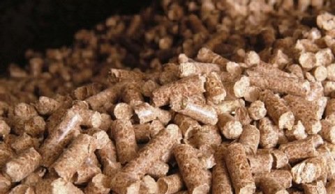 Niemcy będą produkować pellety w USA