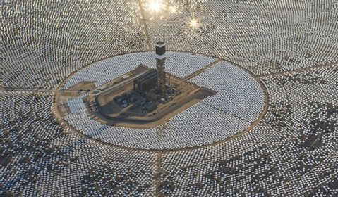 Farmy solarne CSP zagrożeniem dla ptaków? &quot;Większym są koty&quot;