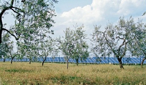 PGE szuka wykonawców przyłączeń farm PV w woj. lubelskim