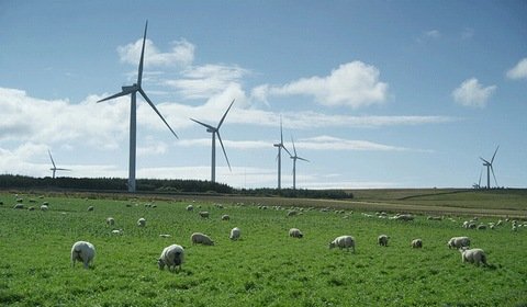 Chiński potentat atomowy kupuje farmy wiatrowe w Wielkiej Brytanii