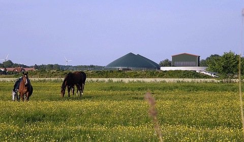 W Legnicy powstanie biogazownia rolnicza o mocy 1 MW