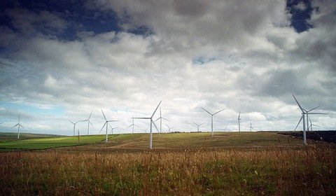 W Polsce powstaje 1500 MW farm wiatrowych