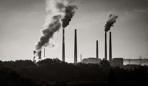 Pierwsza rezolucja WHO ws. zanieczyszczenia powietrza