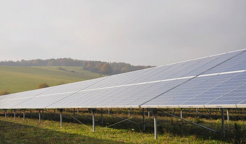 Czeski minister chce rozbiórki farm fotowoltaicznych