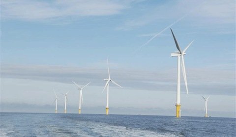 Dong zbuduje największą morską farmę wiatrową