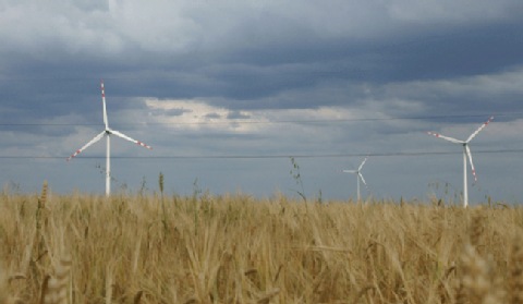 PGE EO: 1 mld zł na farmy wiatrowe, zainteresowanie projektami PV