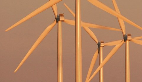 PiS wraca do pomysłów mogących zablokować energetykę wiatrową