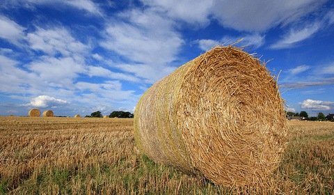 Ursus przejmuje czołowego producenta biomasy