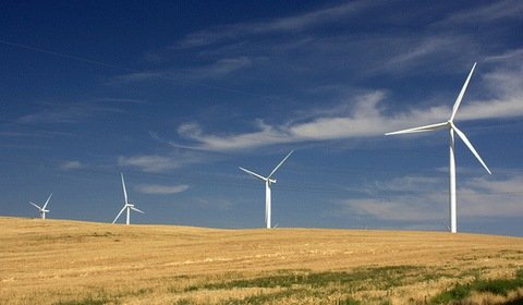 RPO apeluje o uregulowanie sprawy wiatraków