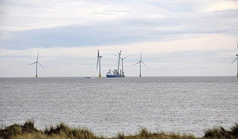 Problem z morskimi farmami wiatrowymi u wybrzeży Szkocji